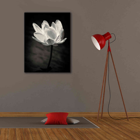 Image of 'Lotus Flower X' by Debra Van Swearingen, Canvas Wall Art,26 x 34