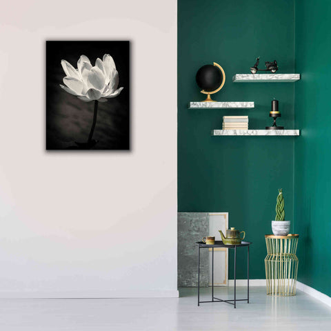 Image of 'Lotus Flower X' by Debra Van Swearingen, Canvas Wall Art,26 x 34