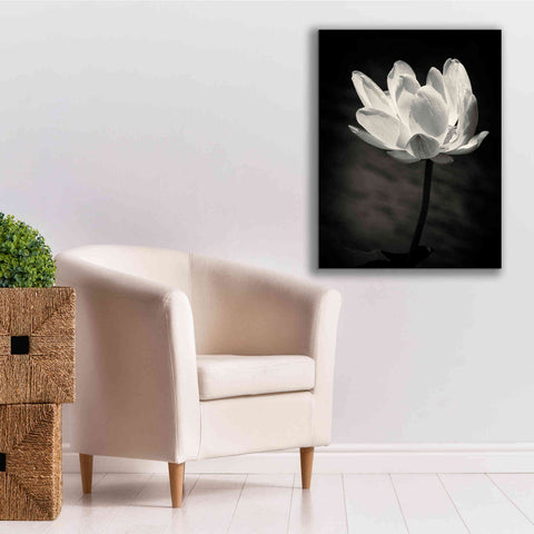 Image of 'Lotus Flower X' by Debra Van Swearingen, Canvas Wall Art,26 x 34