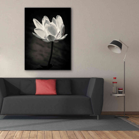 Image of 'Lotus Flower X' by Debra Van Swearingen, Canvas Wall Art,40 x 54