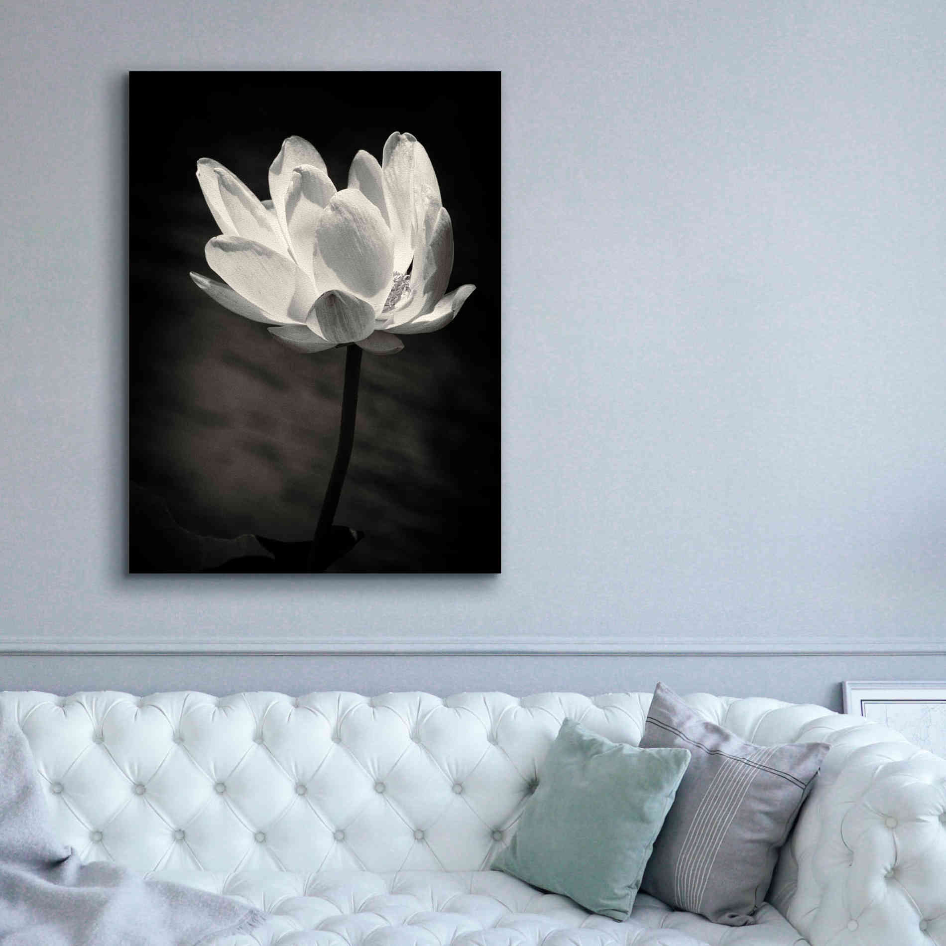 'Lotus Flower X' by Debra Van Swearingen, Canvas Wall Art,40 x 54