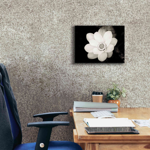 Image of 'Lotus Flower III' by Debra Van Swearingen, Canvas Wall Art,16 x 12