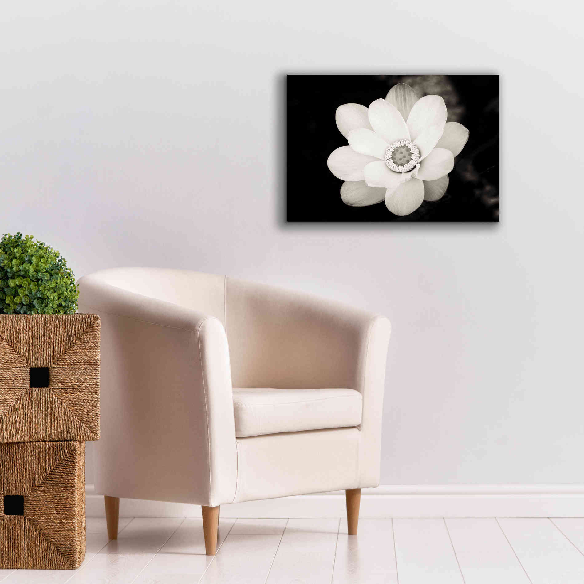'Lotus Flower III' by Debra Van Swearingen, Canvas Wall Art,26 x 18