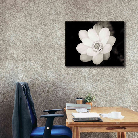 Image of 'Lotus Flower III' by Debra Van Swearingen, Canvas Wall Art,34 x 26
