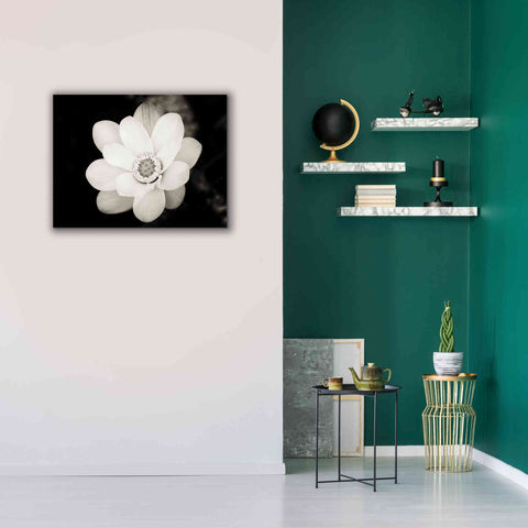 Image of 'Lotus Flower III' by Debra Van Swearingen, Canvas Wall Art,34 x 26