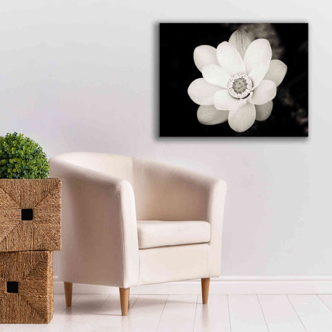 Image of 'Lotus Flower III' by Debra Van Swearingen, Canvas Wall Art,34 x 26