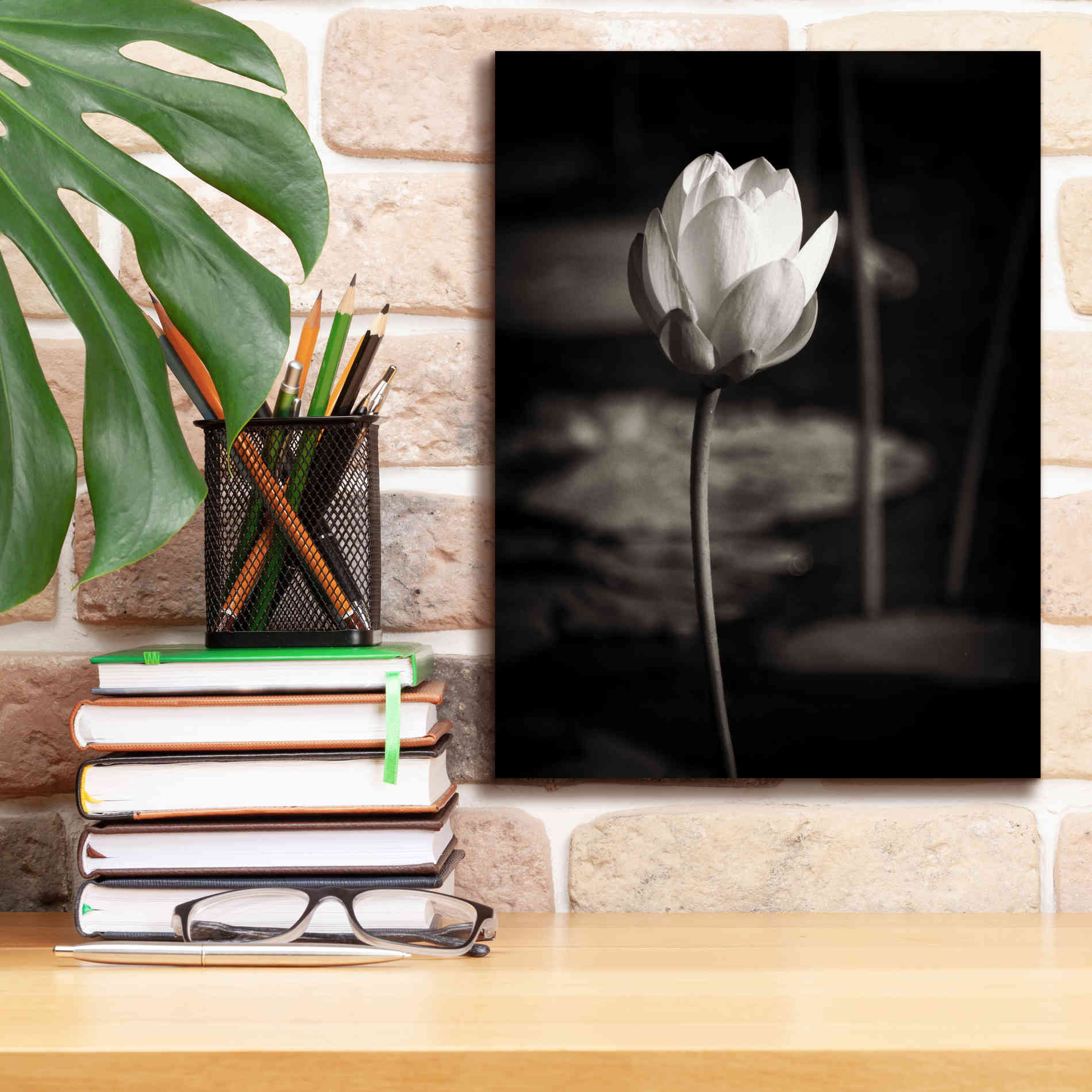 'Lotus Flower VI' by Debra Van Swearingen, Canvas Wall Art,12 x 16