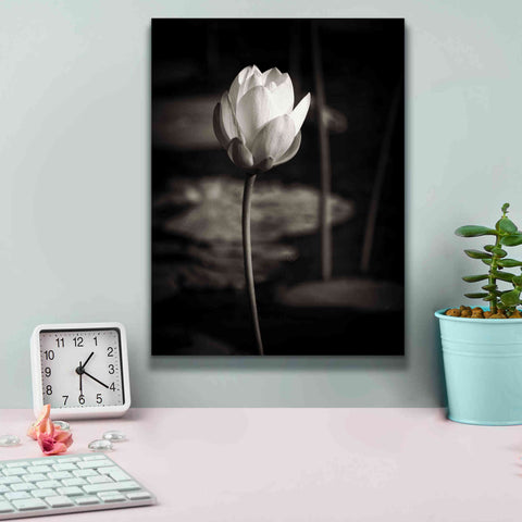Image of 'Lotus Flower VI' by Debra Van Swearingen, Canvas Wall Art,12 x 16
