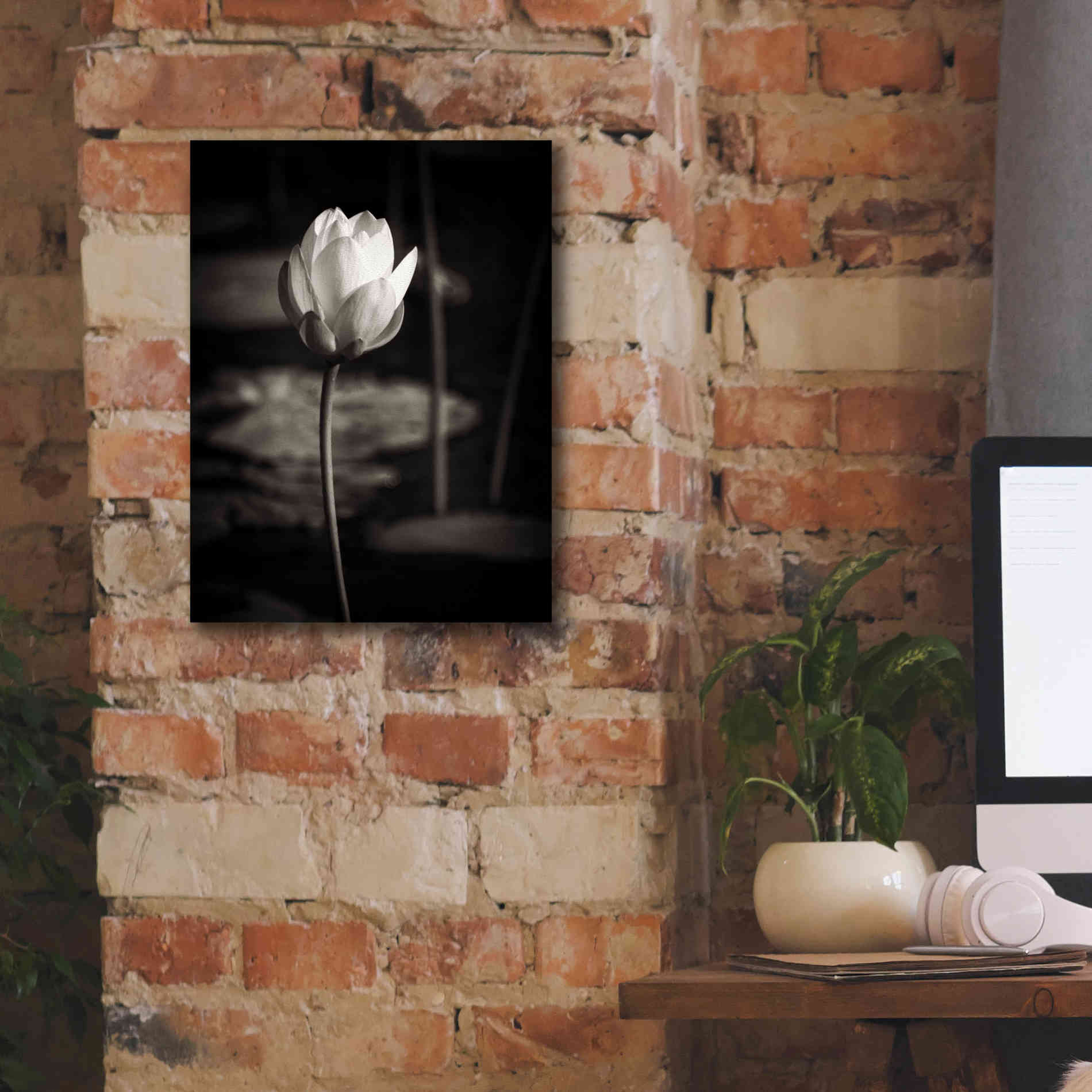 'Lotus Flower VI' by Debra Van Swearingen, Canvas Wall Art,12 x 16