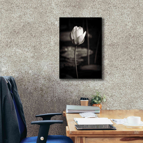 Image of 'Lotus Flower VI' by Debra Van Swearingen, Canvas Wall Art,18 x 26