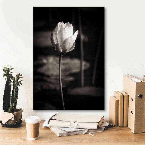 Image of 'Lotus Flower VI' by Debra Van Swearingen, Canvas Wall Art,18 x 26