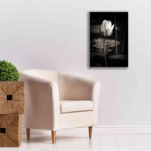 Image of 'Lotus Flower VI' by Debra Van Swearingen, Canvas Wall Art,18 x 26
