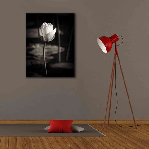 Image of 'Lotus Flower VI' by Debra Van Swearingen, Canvas Wall Art,26 x 34