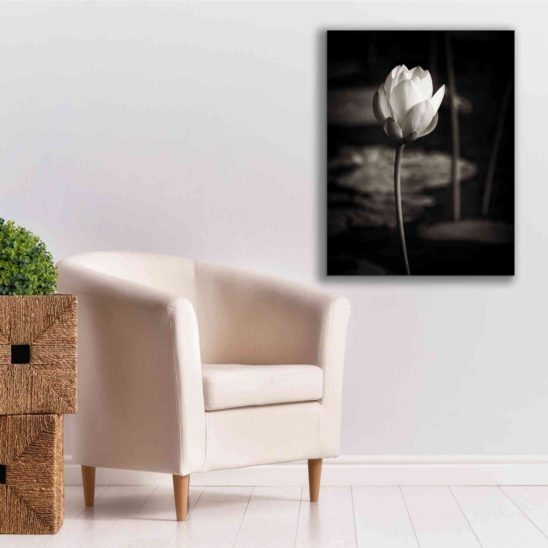 'Lotus Flower VI' by Debra Van Swearingen, Canvas Wall Art,26 x 34