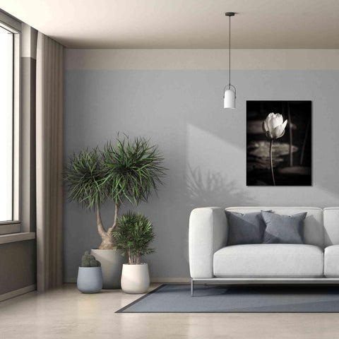 Image of 'Lotus Flower VI' by Debra Van Swearingen, Canvas Wall Art,26 x 34