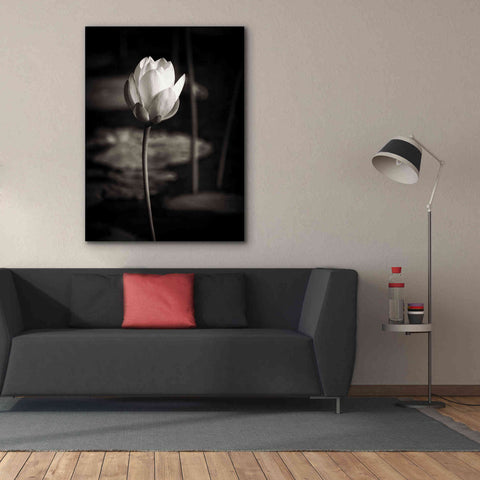 Image of 'Lotus Flower VI' by Debra Van Swearingen, Canvas Wall Art,40 x 54