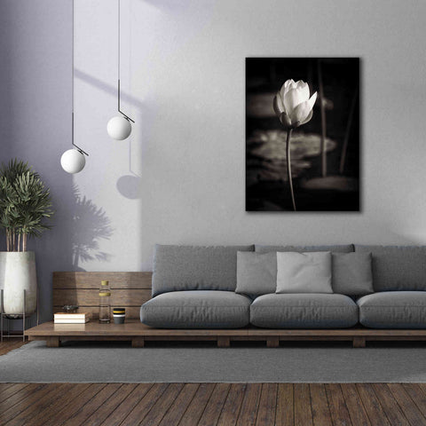 Image of 'Lotus Flower VI' by Debra Van Swearingen, Canvas Wall Art,40 x 54