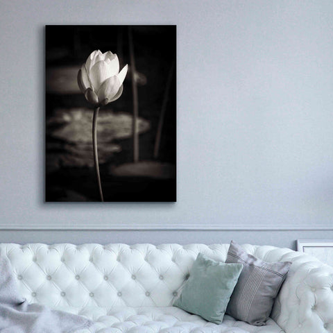 Image of 'Lotus Flower VI' by Debra Van Swearingen, Canvas Wall Art,40 x 54
