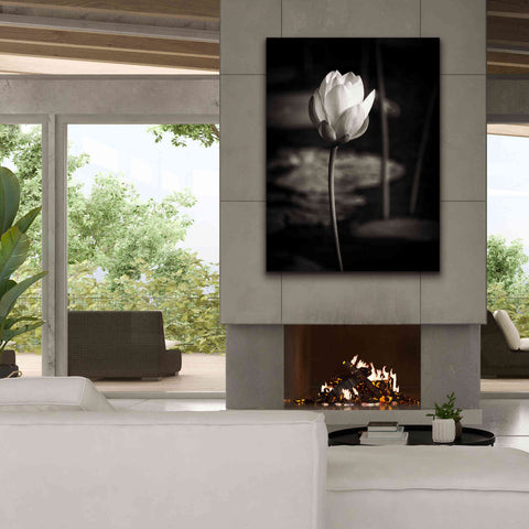 Image of 'Lotus Flower VI' by Debra Van Swearingen, Canvas Wall Art,40 x 54
