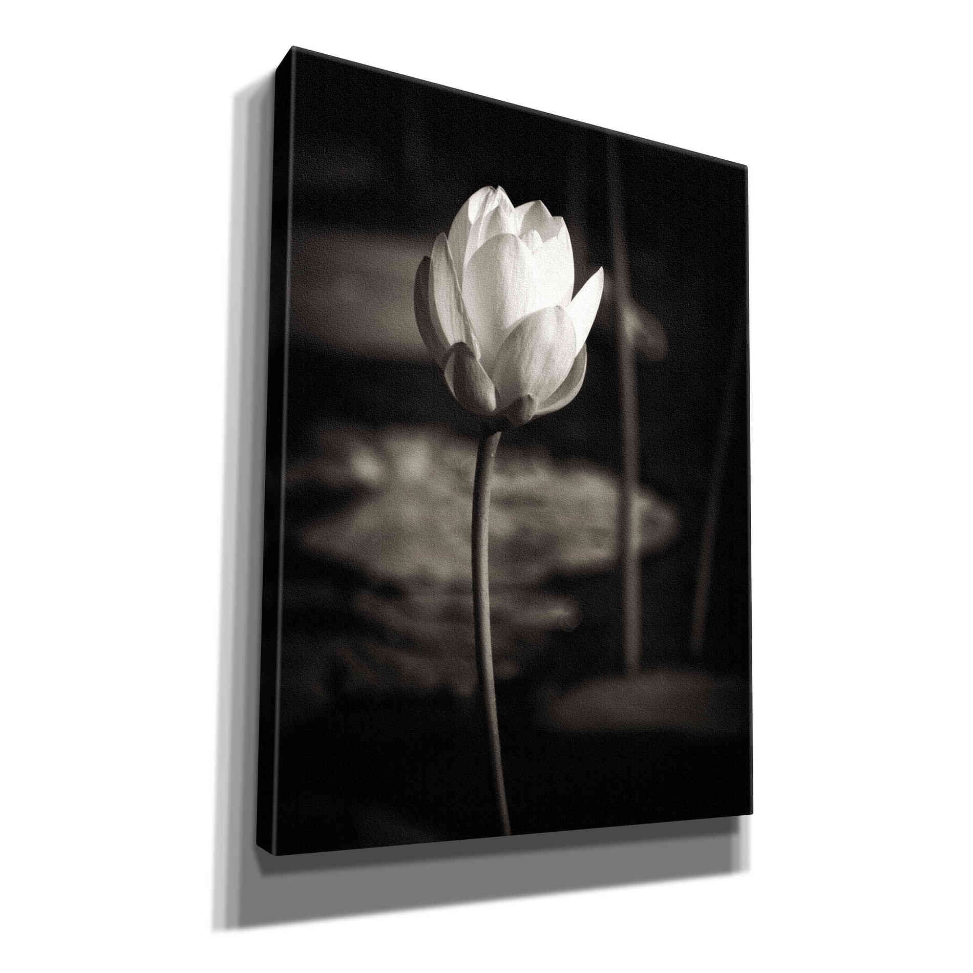 'Lotus Flower VI' by Debra Van Swearingen, Canvas Wall Art,12x16x1.1x0,18x26x1.1x0,26x34x1.74x0,40x54x1.74x0
