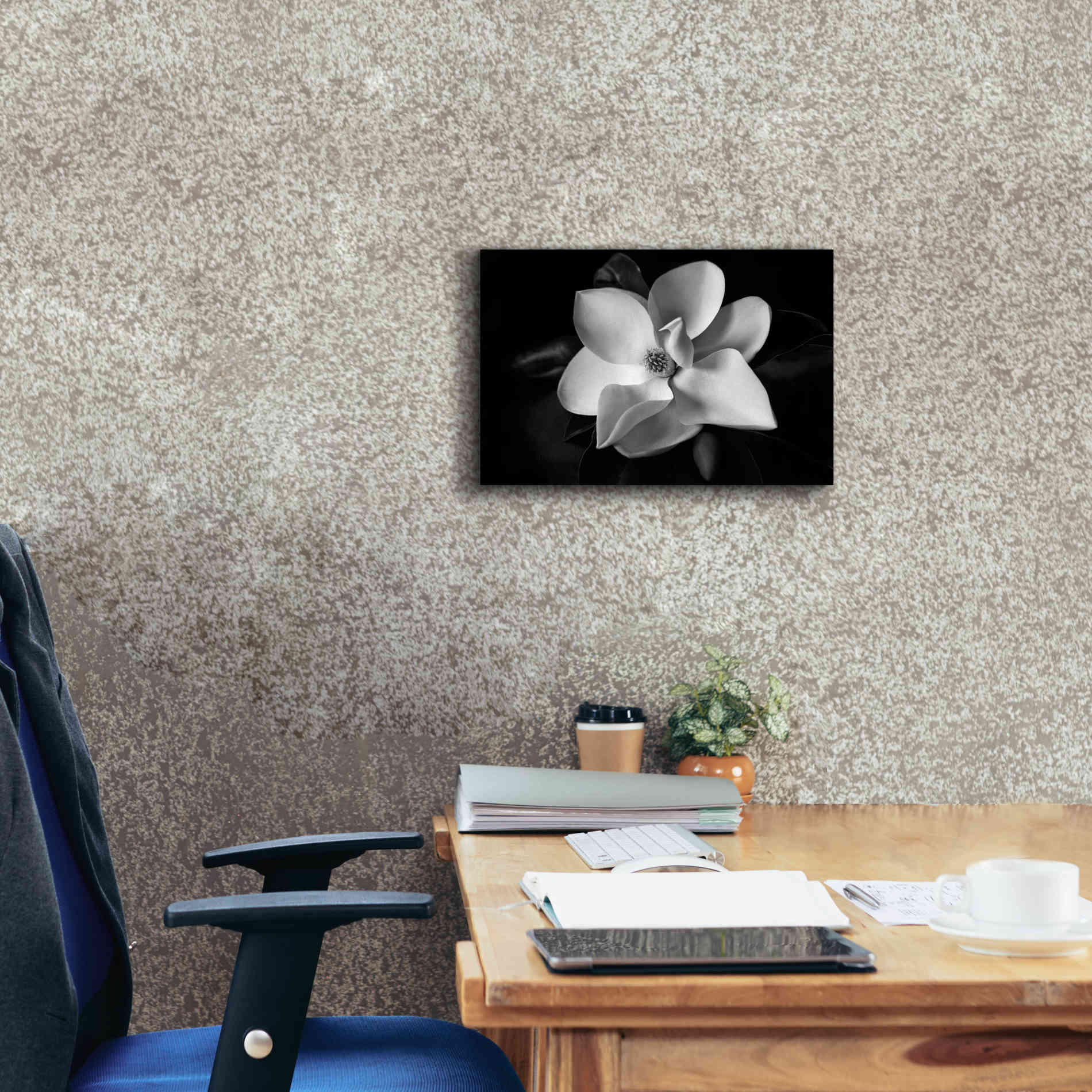 'SID14511_Magnolia' by Debra Van Swearingen, Canvas Wall Art,18 x 12