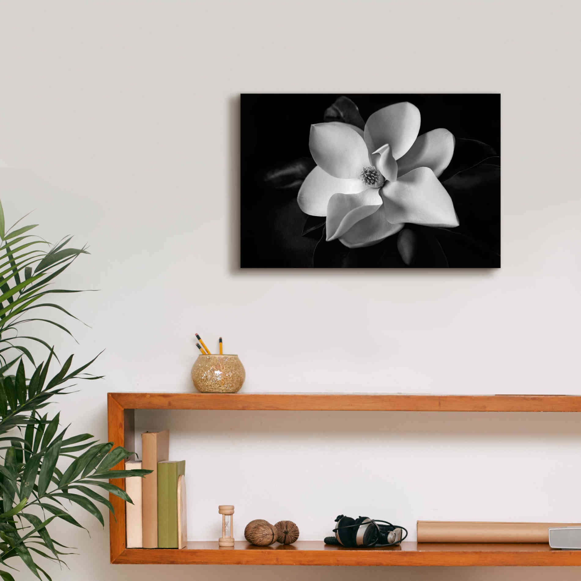 'SID14511_Magnolia' by Debra Van Swearingen, Canvas Wall Art,18 x 12