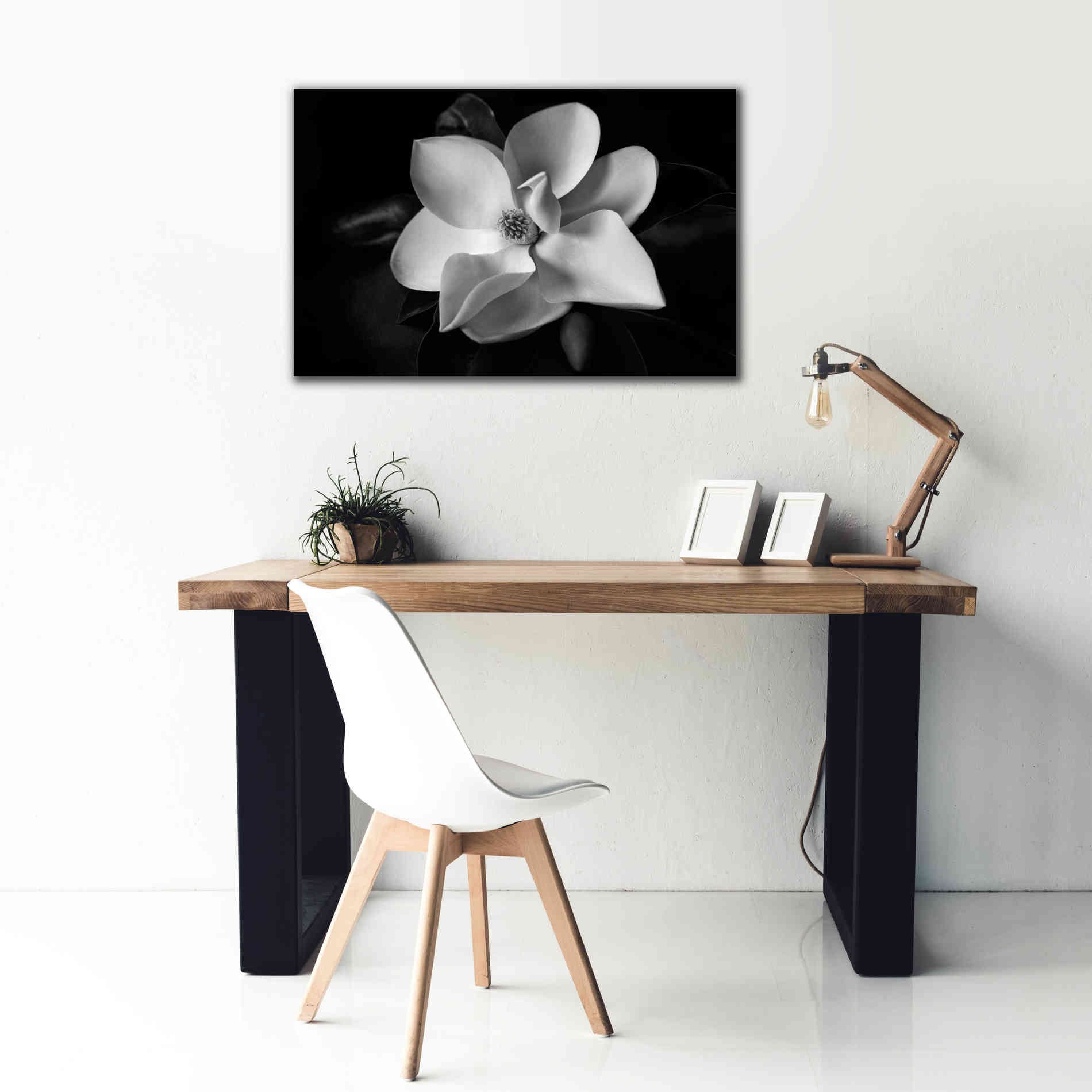 'SID14511_Magnolia' by Debra Van Swearingen, Canvas Wall Art,40 x 26