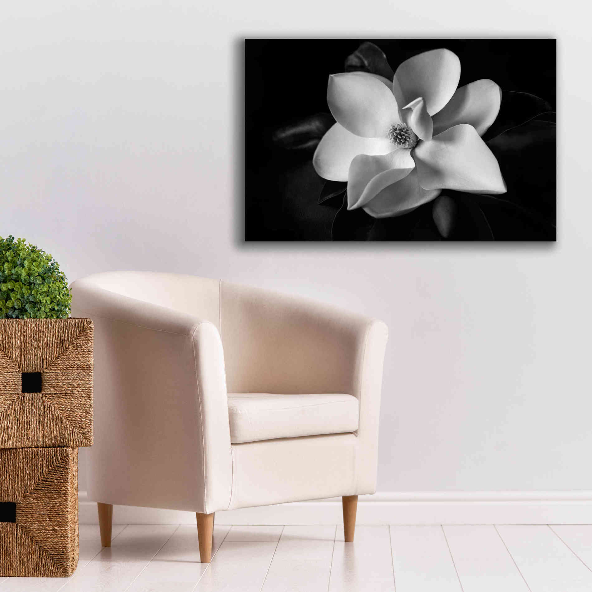 'SID14511_Magnolia' by Debra Van Swearingen, Canvas Wall Art,40 x 26