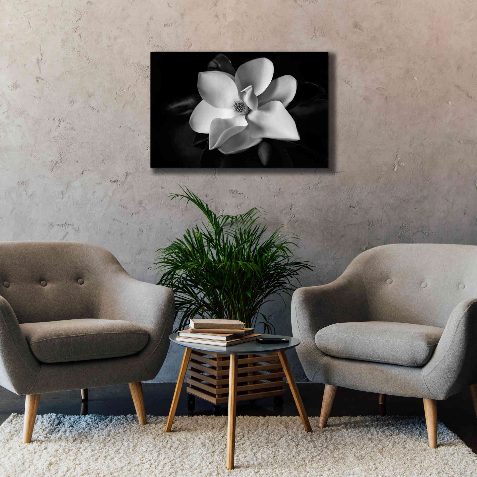 'SID14511_Magnolia' by Debra Van Swearingen, Canvas Wall Art,40 x 26