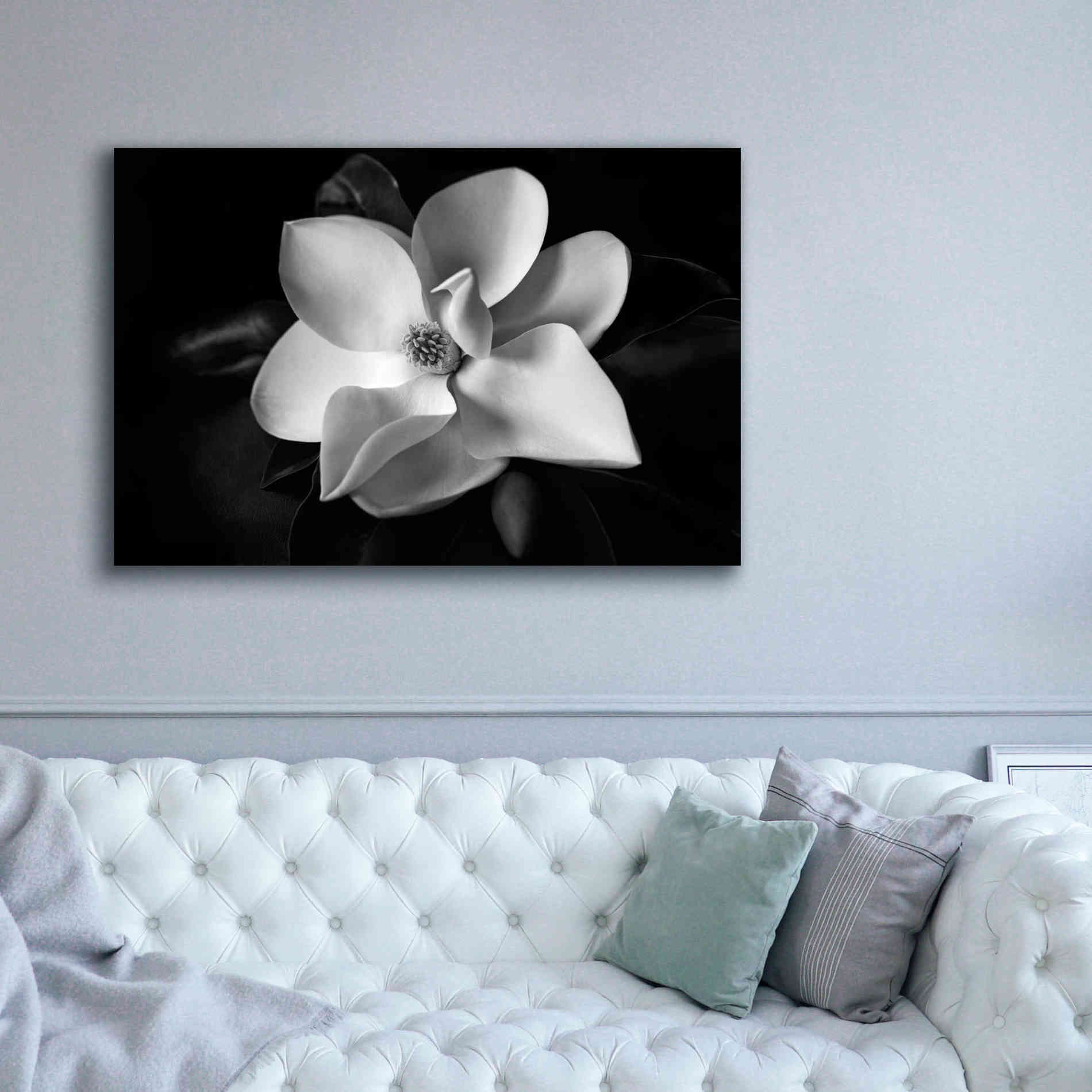 'SID14511_Magnolia' by Debra Van Swearingen, Canvas Wall Art,60 x 40