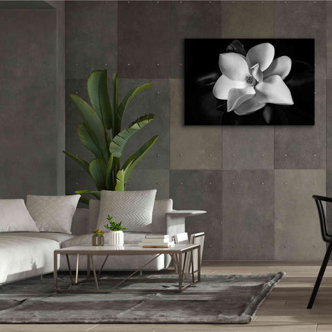 Image of 'SID14511_Magnolia' by Debra Van Swearingen, Canvas Wall Art,60 x 40