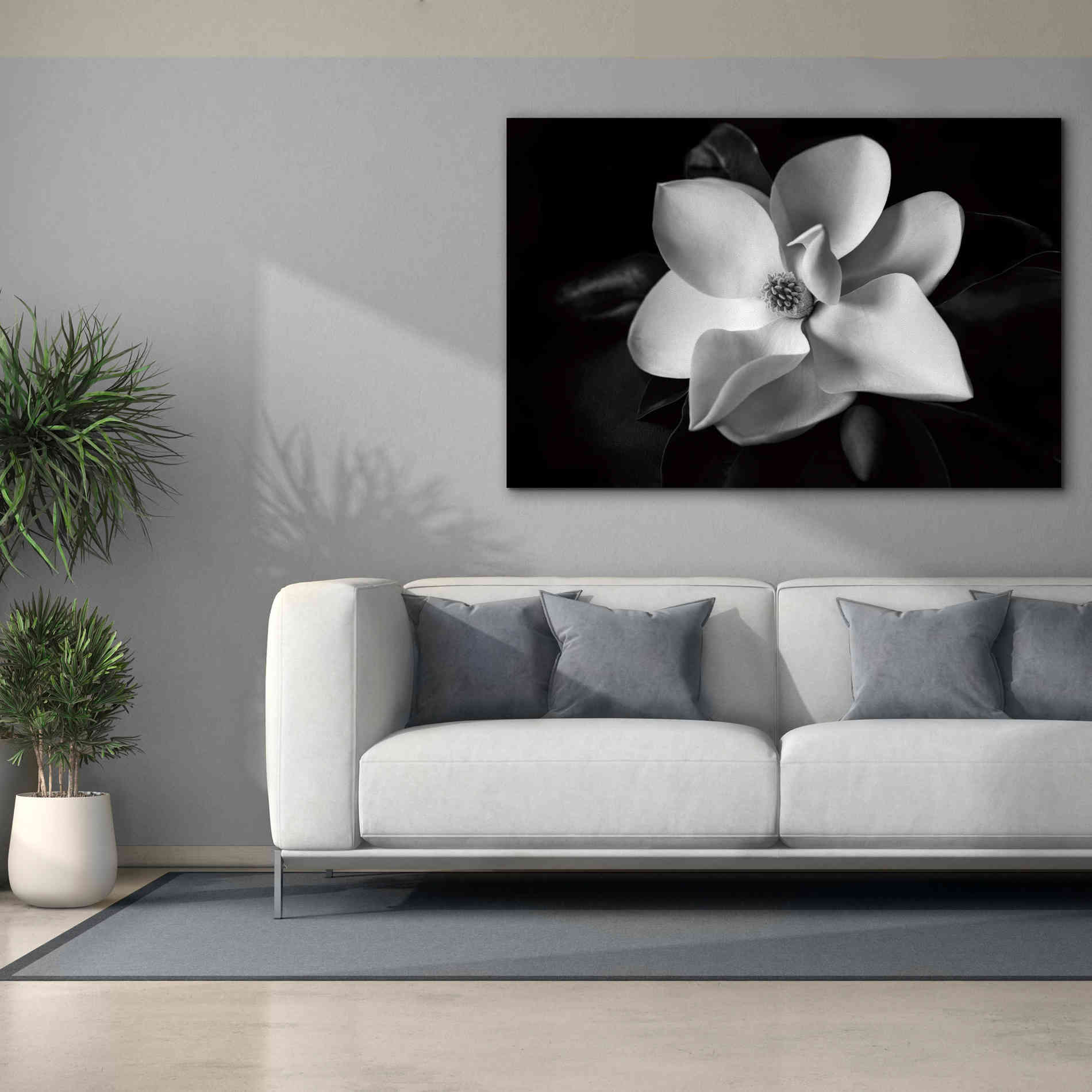 'SID14511_Magnolia' by Debra Van Swearingen, Canvas Wall Art,60 x 40