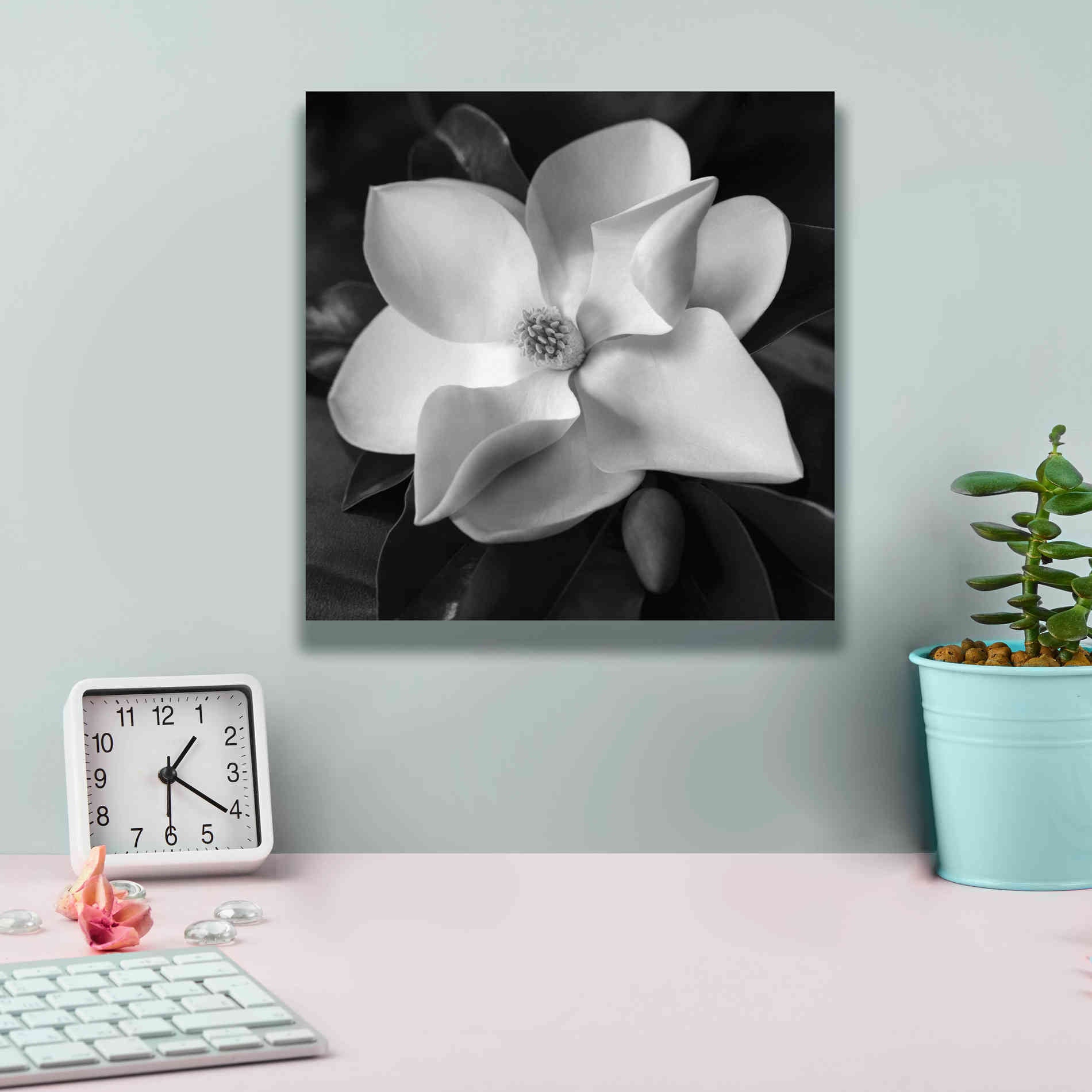 'Magnolia' by Debra Van Swearingen, Canvas Wall Art,12 x 12