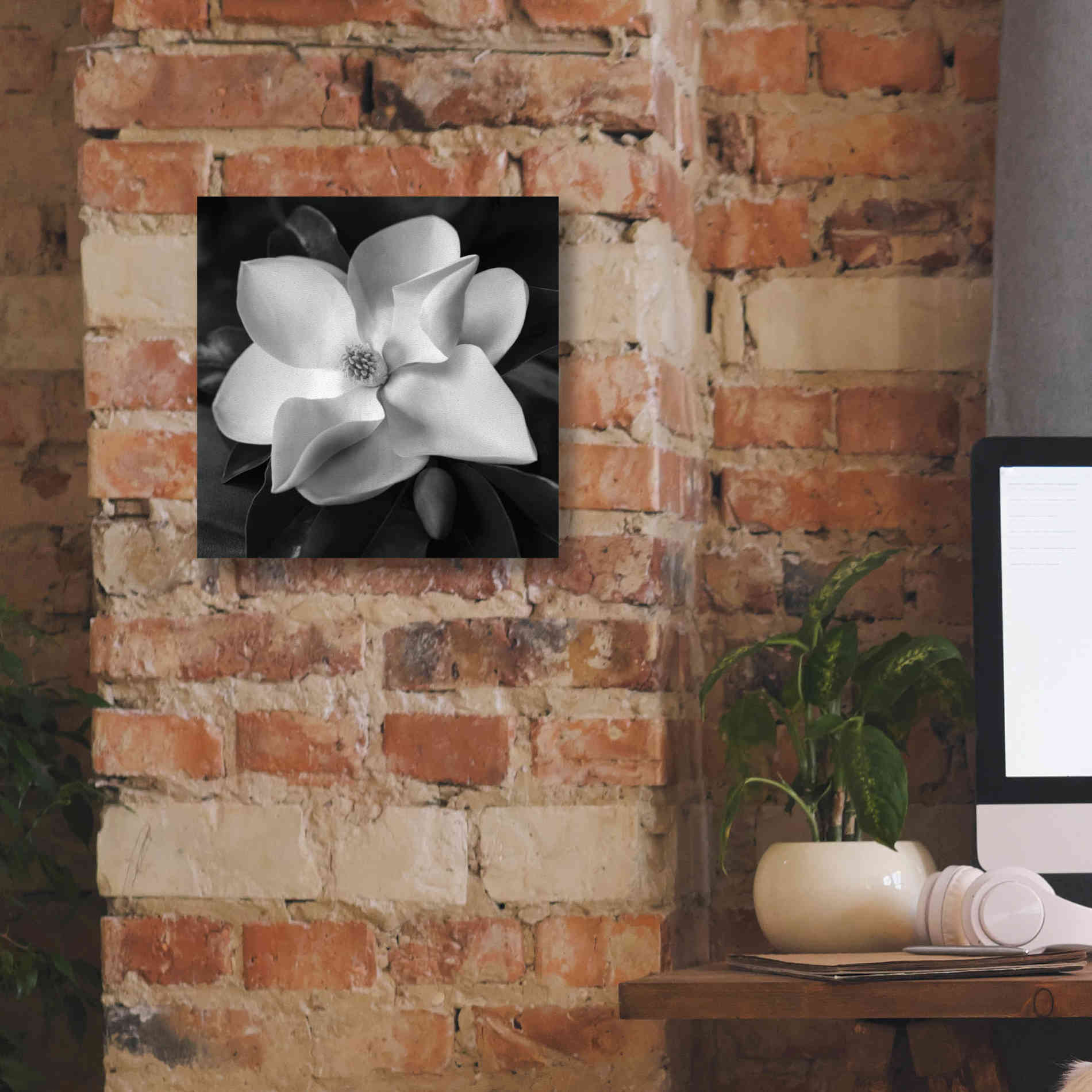 'Magnolia' by Debra Van Swearingen, Canvas Wall Art,12 x 12