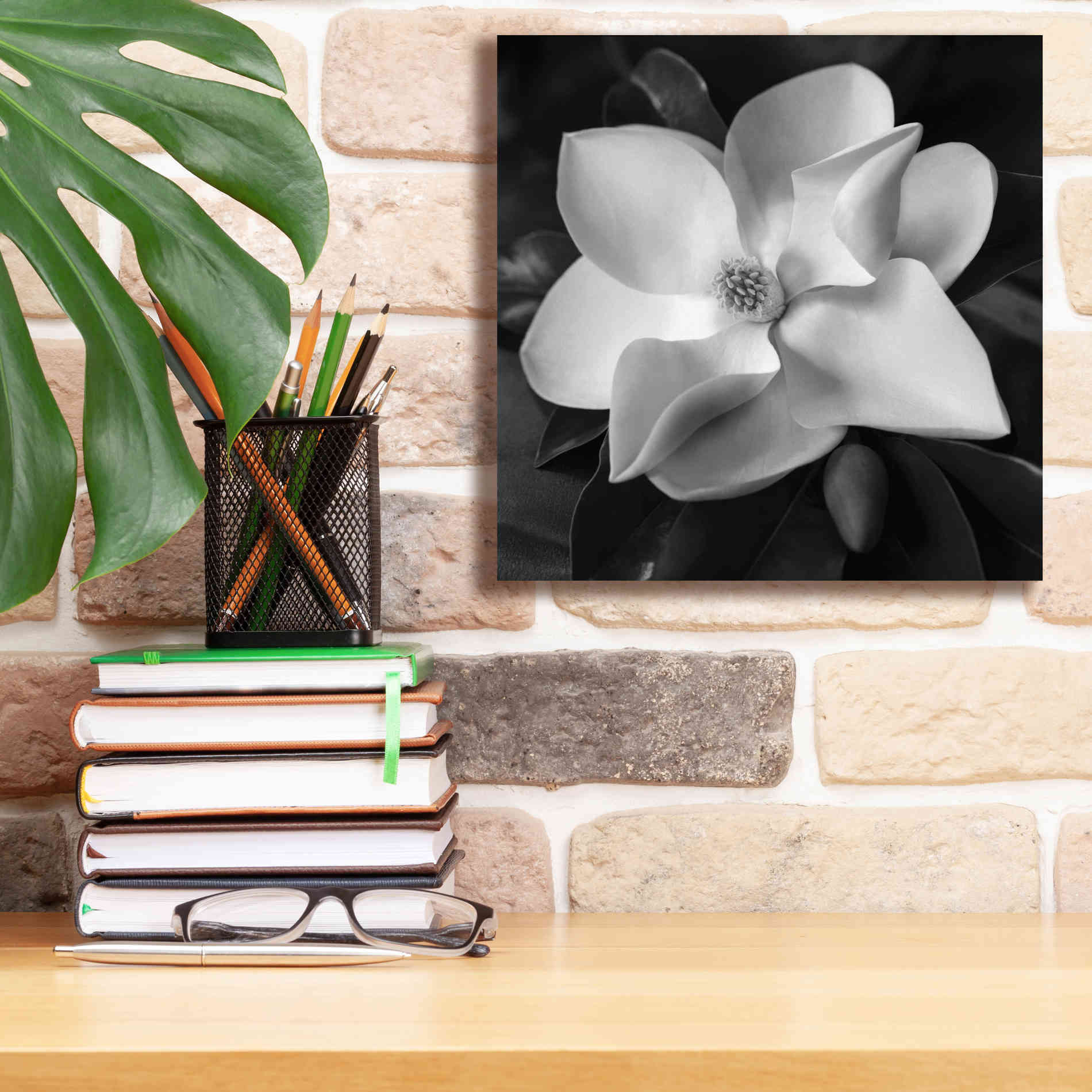 'Magnolia' by Debra Van Swearingen, Canvas Wall Art,12 x 12