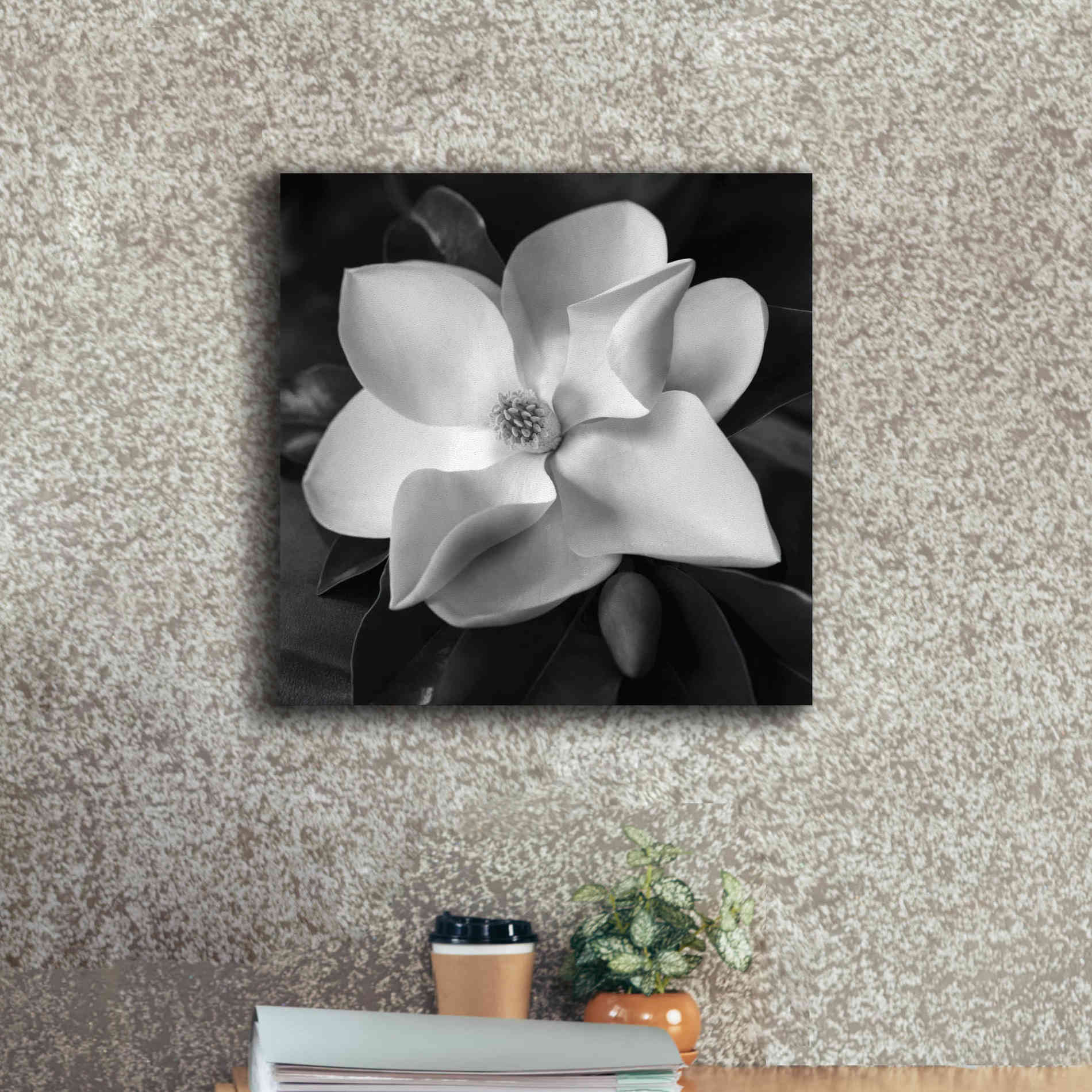 'Magnolia' by Debra Van Swearingen, Canvas Wall Art,18 x 18