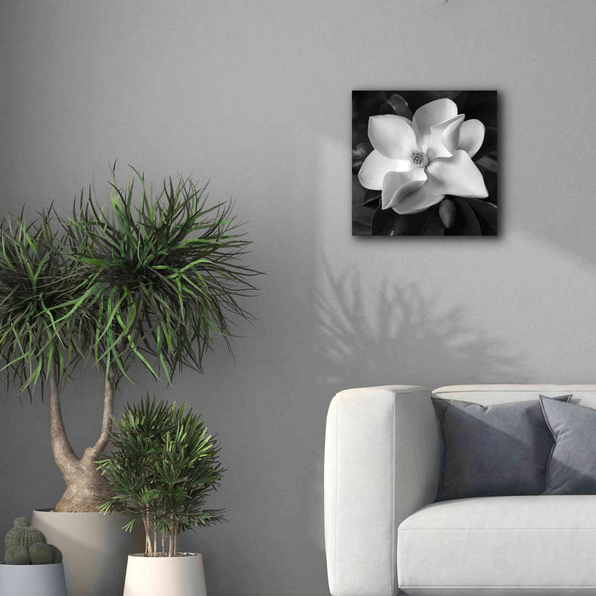 'Magnolia' by Debra Van Swearingen, Canvas Wall Art,18 x 18