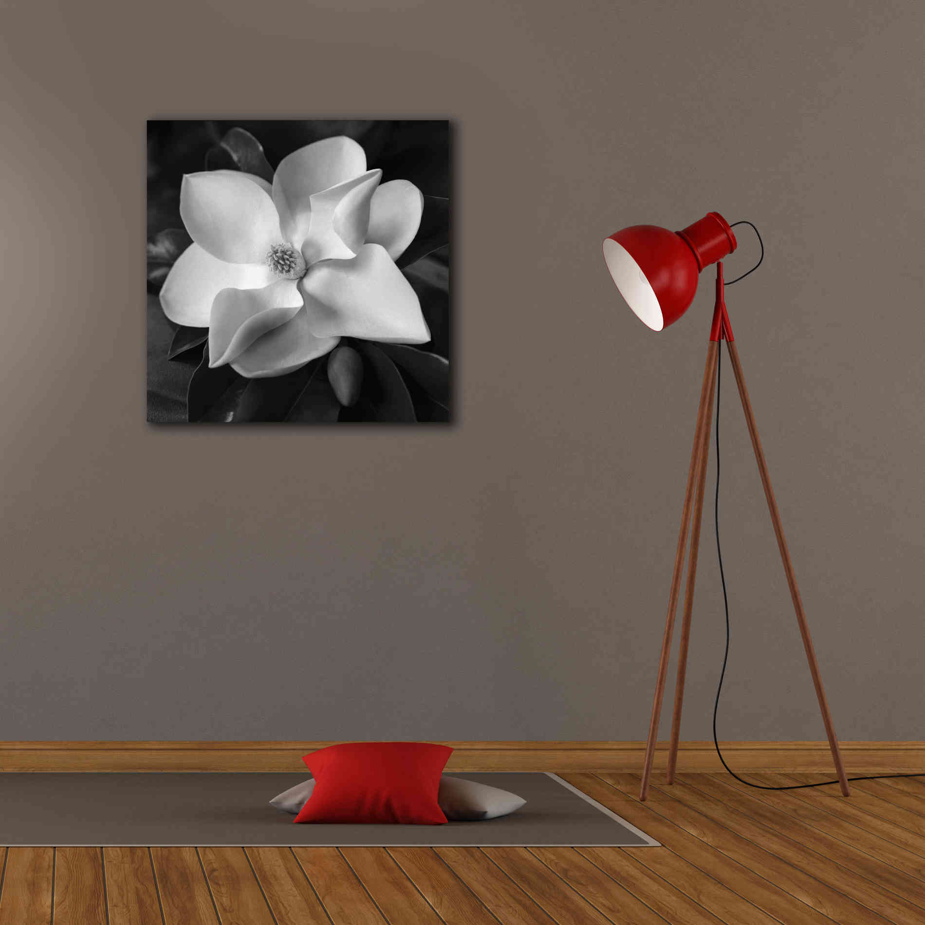 'Magnolia' by Debra Van Swearingen, Canvas Wall Art,26 x 26