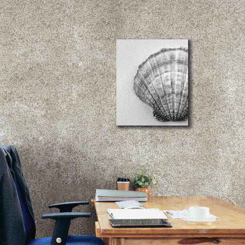 Image of 'On The Half Shell' by Debra Van Swearingen, Canvas Wall Art,20 x 24