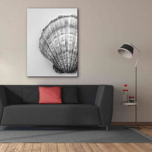 'On The Half Shell' by Debra Van Swearingen, Canvas Wall Art,40 x 54