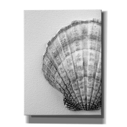 Image of 'On The Half Shell' by Debra Van Swearingen, Canvas Wall Art,12x16x1.1x0,20x24x1.1x0,26x30x1.74x0,40x54x1.74x0