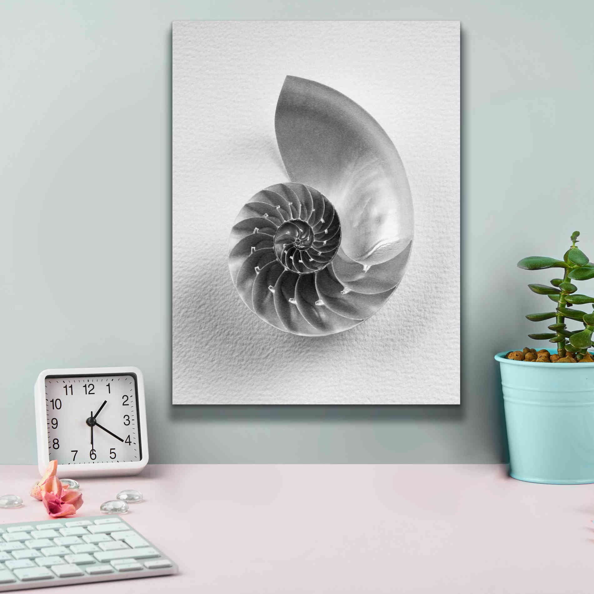 'Nautilus 4' by Debra Van Swearingen, Canvas Wall Art,12 x 16