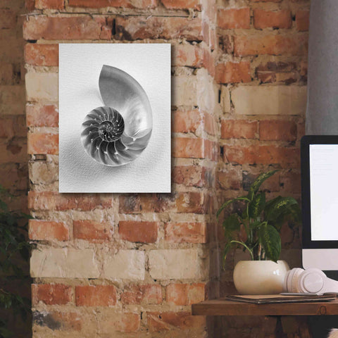 Image of 'Nautilus 4' by Debra Van Swearingen, Canvas Wall Art,12 x 16