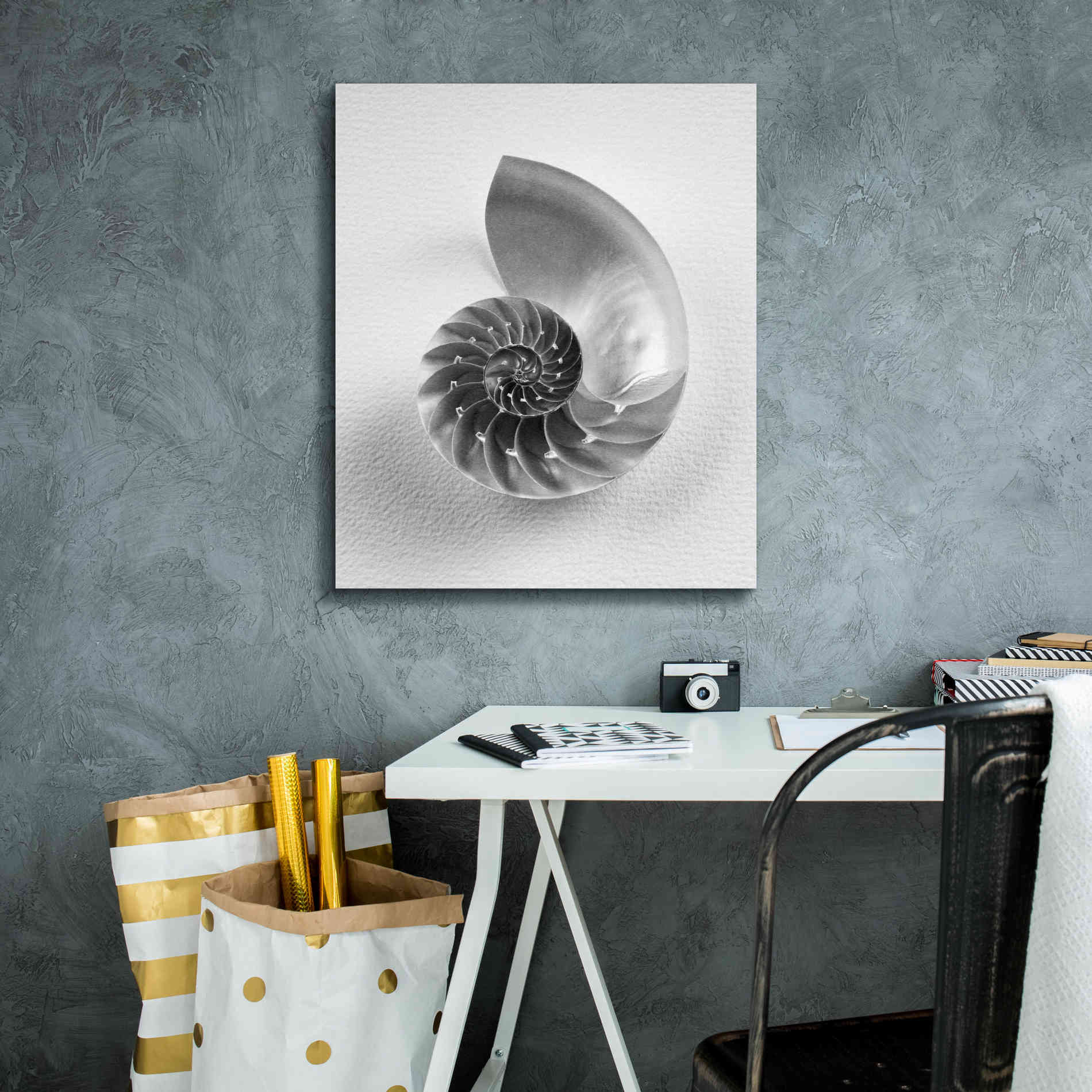 'Nautilus 4' by Debra Van Swearingen, Canvas Wall Art,20 x 24