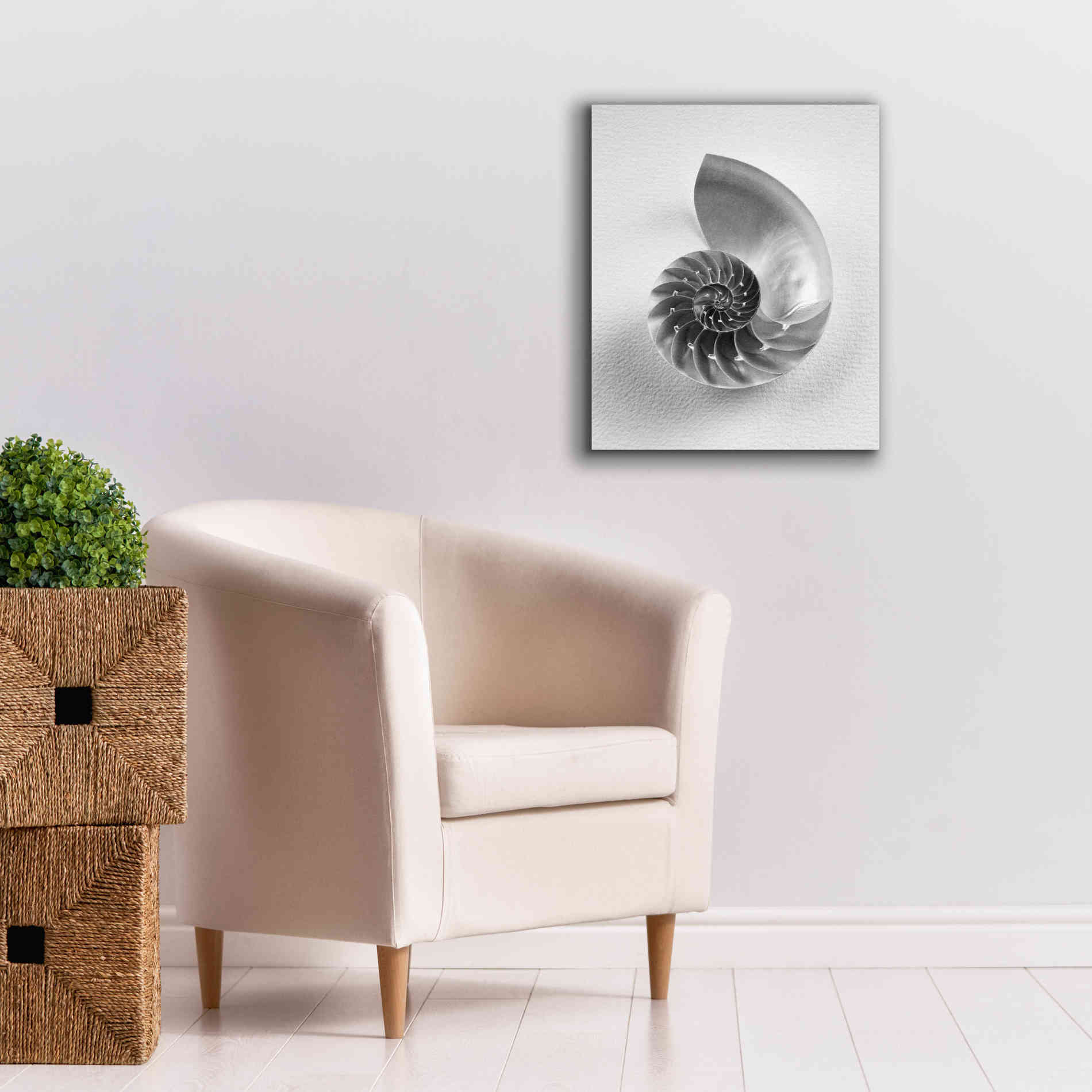 'Nautilus 4' by Debra Van Swearingen, Canvas Wall Art,20 x 24