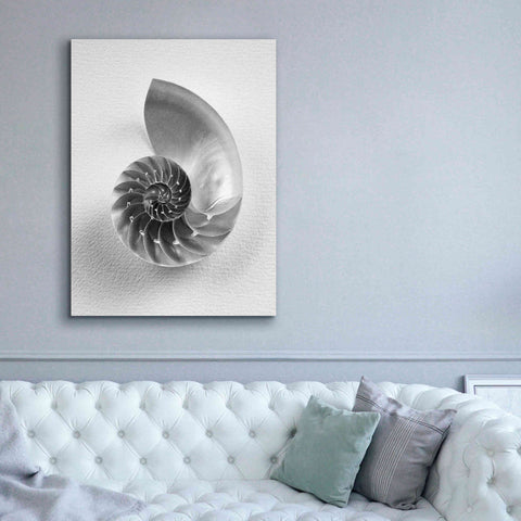 Image of 'Nautilus 4' by Debra Van Swearingen, Canvas Wall Art,40 x 54