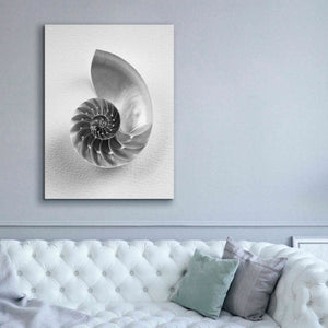 'Nautilus 4' by Debra Van Swearingen, Canvas Wall Art,40 x 54