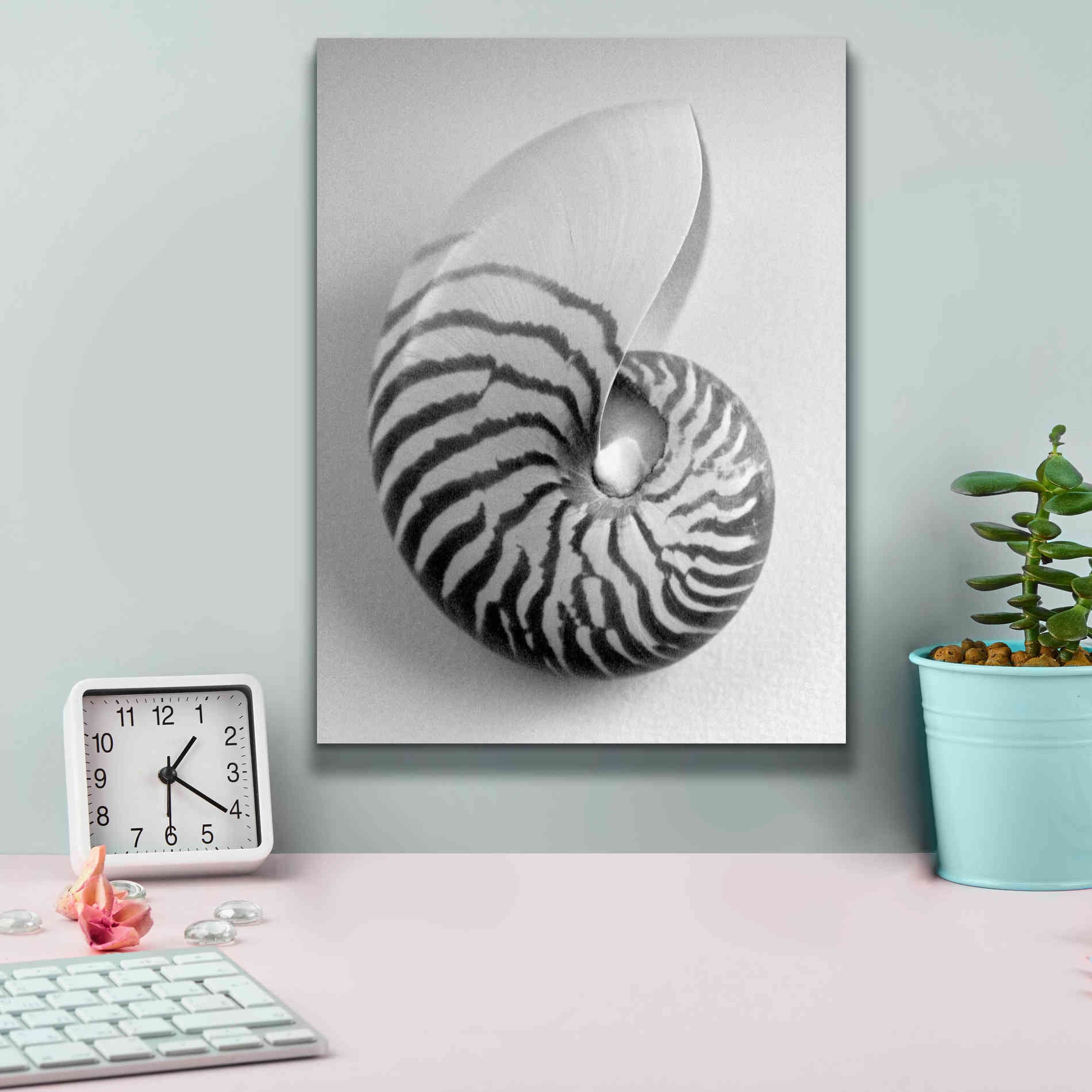 'Nautilus 2' by Debra Van Swearingen, Canvas Wall Art,12 x 16
