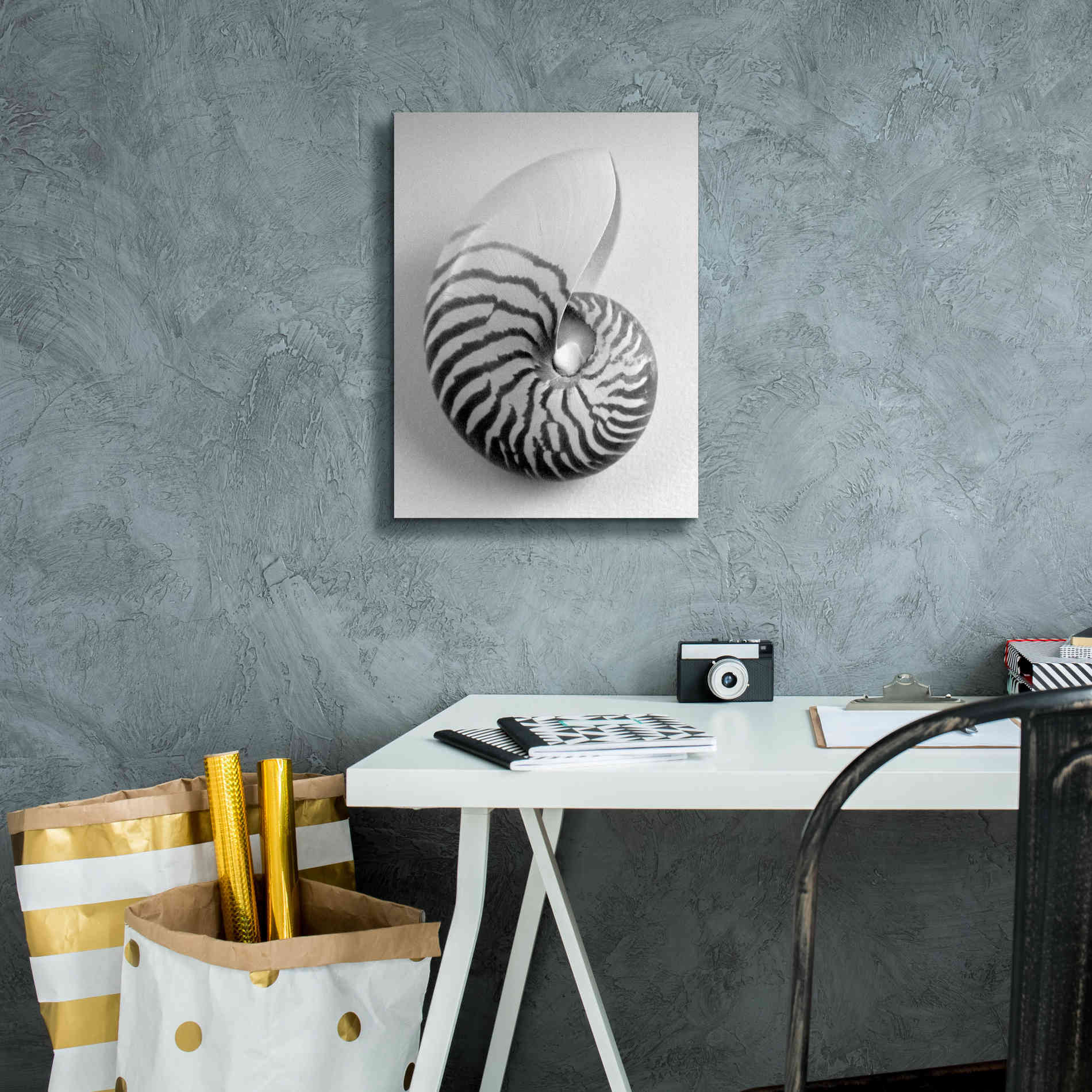 'Nautilus 2' by Debra Van Swearingen, Canvas Wall Art,12 x 16