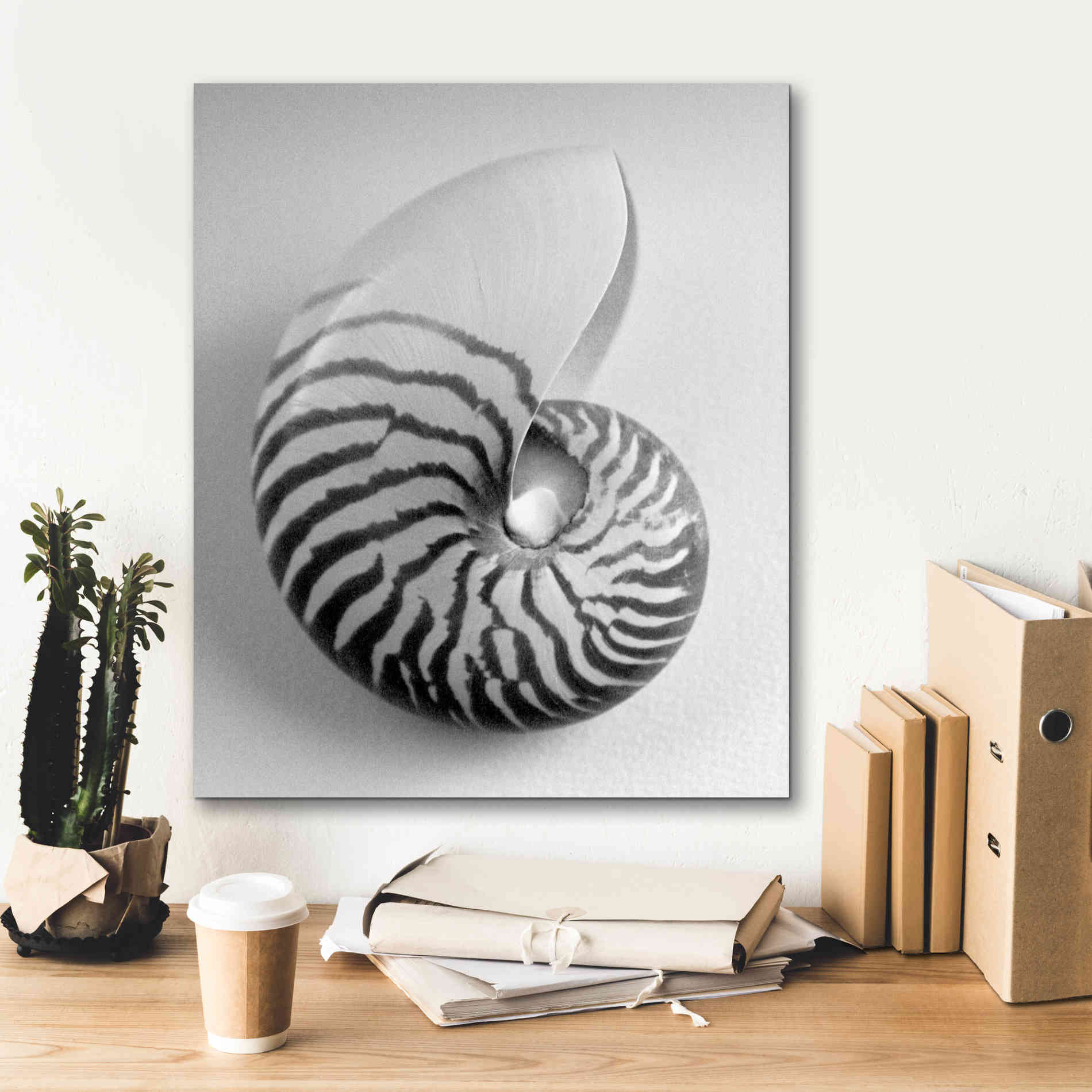 'Nautilus 2' by Debra Van Swearingen, Canvas Wall Art,20 x 24